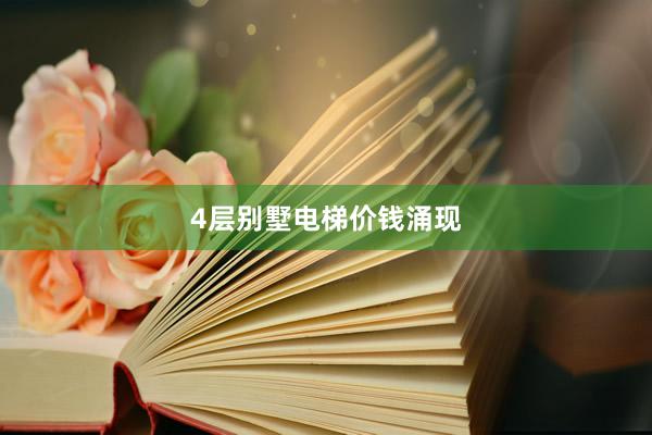 4层别墅电梯价钱涌现