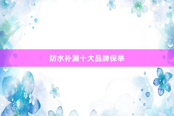 防水补漏十大品牌保举