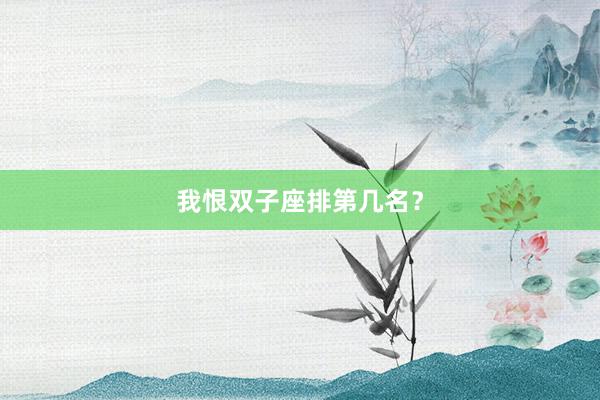 我恨双子座排第几名？