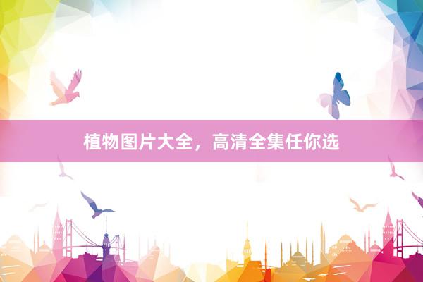 植物图片大全，高清全集任你选