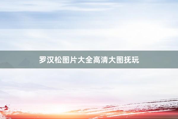 罗汉松图片大全高清大图抚玩
